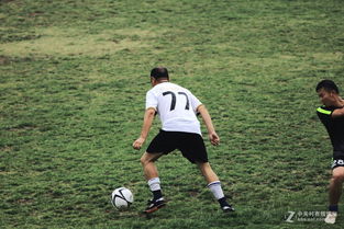 [英超] 利物浦 实力碾压，卢顿 能否苟住？